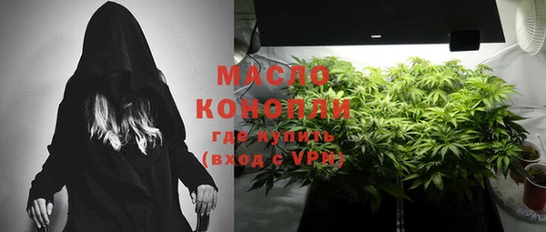 крисы Михайловск