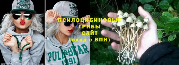 первитин Михайлов