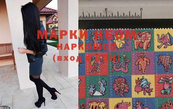 крисы Михайловск
