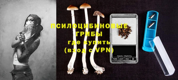 крисы Михайловск